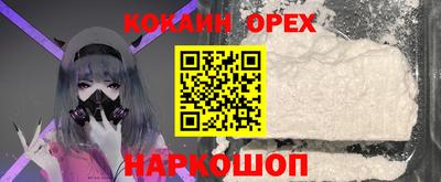 СК Краснодар