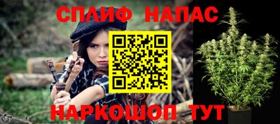 СК Краснодар