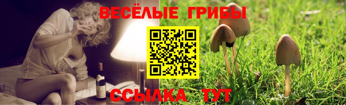 Псилоцибиновые грибы Cubensis Югорск